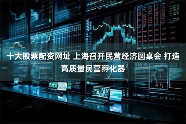 十大股票配资网址 上海召开民营经济圆桌会 打造高质量民营孵化器