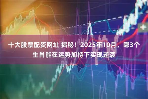 十大股票配资网址 揭秘！2025年10月，哪3个生肖能在运势加持下实现逆袭