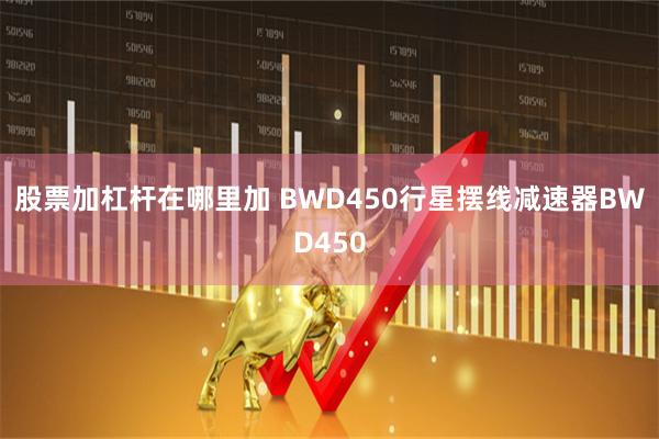 股票加杠杆在哪里加 BWD450行星摆线减速器BWD450