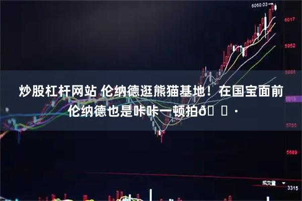 炒股杠杆网站 伦纳德逛熊猫基地！在国宝面前 伦纳德也是咔咔一顿拍📷